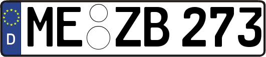 ME-ZB273