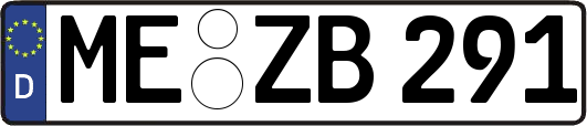 ME-ZB291