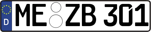 ME-ZB301