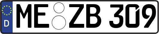 ME-ZB309