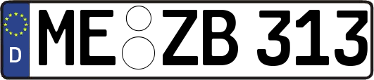 ME-ZB313