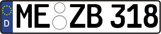ME-ZB318