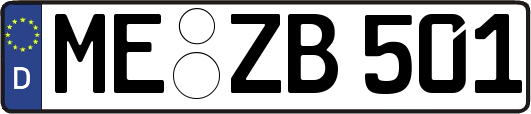 ME-ZB501