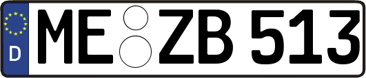 ME-ZB513