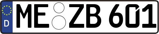 ME-ZB601
