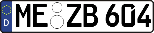 ME-ZB604