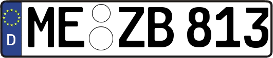 ME-ZB813