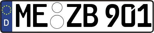 ME-ZB901