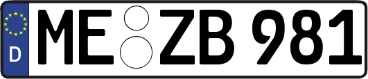 ME-ZB981