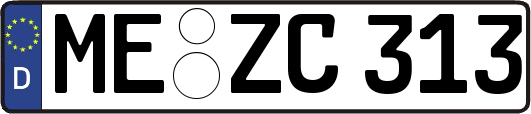 ME-ZC313