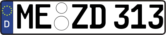 ME-ZD313