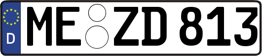ME-ZD813