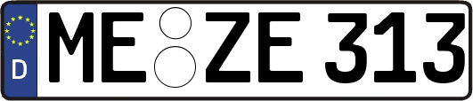 ME-ZE313