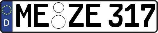 ME-ZE317