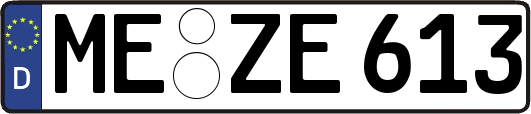 ME-ZE613