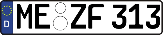 ME-ZF313