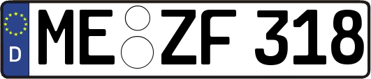ME-ZF318