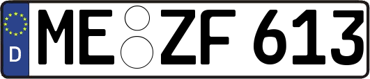 ME-ZF613