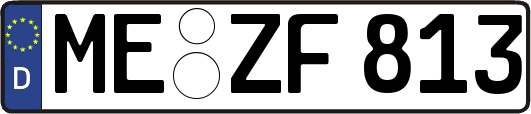 ME-ZF813