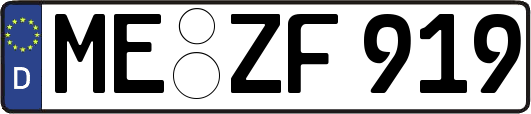 ME-ZF919