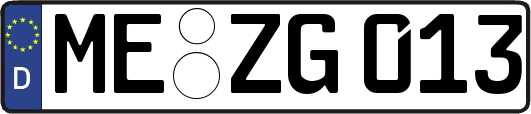 ME-ZG013