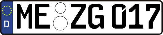 ME-ZG017