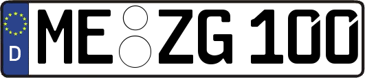 ME-ZG100