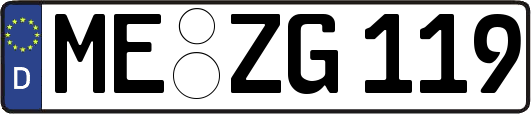 ME-ZG119