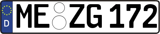 ME-ZG172