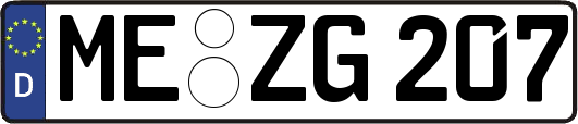 ME-ZG207