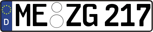 ME-ZG217