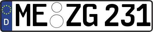 ME-ZG231