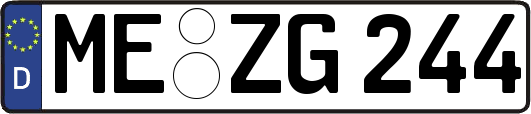 ME-ZG244