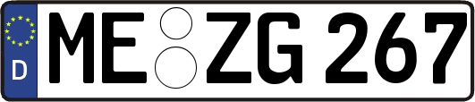 ME-ZG267