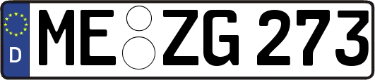 ME-ZG273