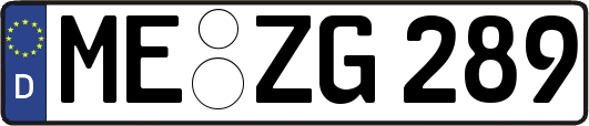 ME-ZG289