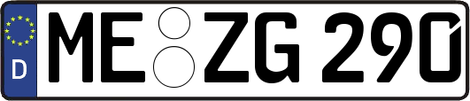 ME-ZG290