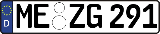 ME-ZG291