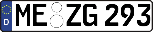 ME-ZG293
