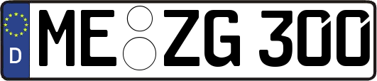 ME-ZG300