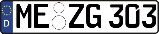 ME-ZG303