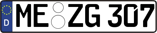 ME-ZG307