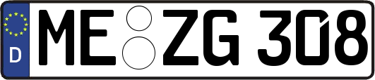 ME-ZG308