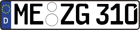 ME-ZG310