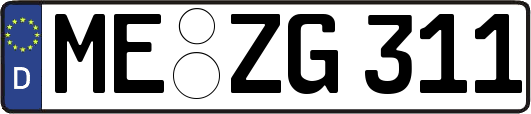 ME-ZG311