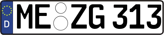 ME-ZG313