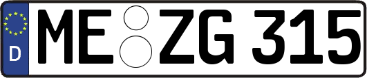 ME-ZG315