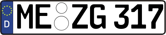 ME-ZG317