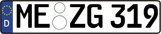 ME-ZG319