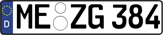 ME-ZG384